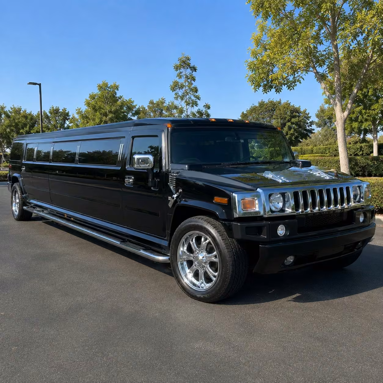 why choose new-orleans-limo.com